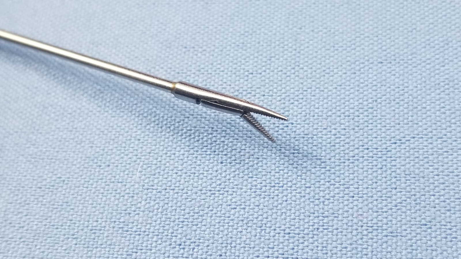 German Stainless Steel House Alligator Ear Forceps 375223