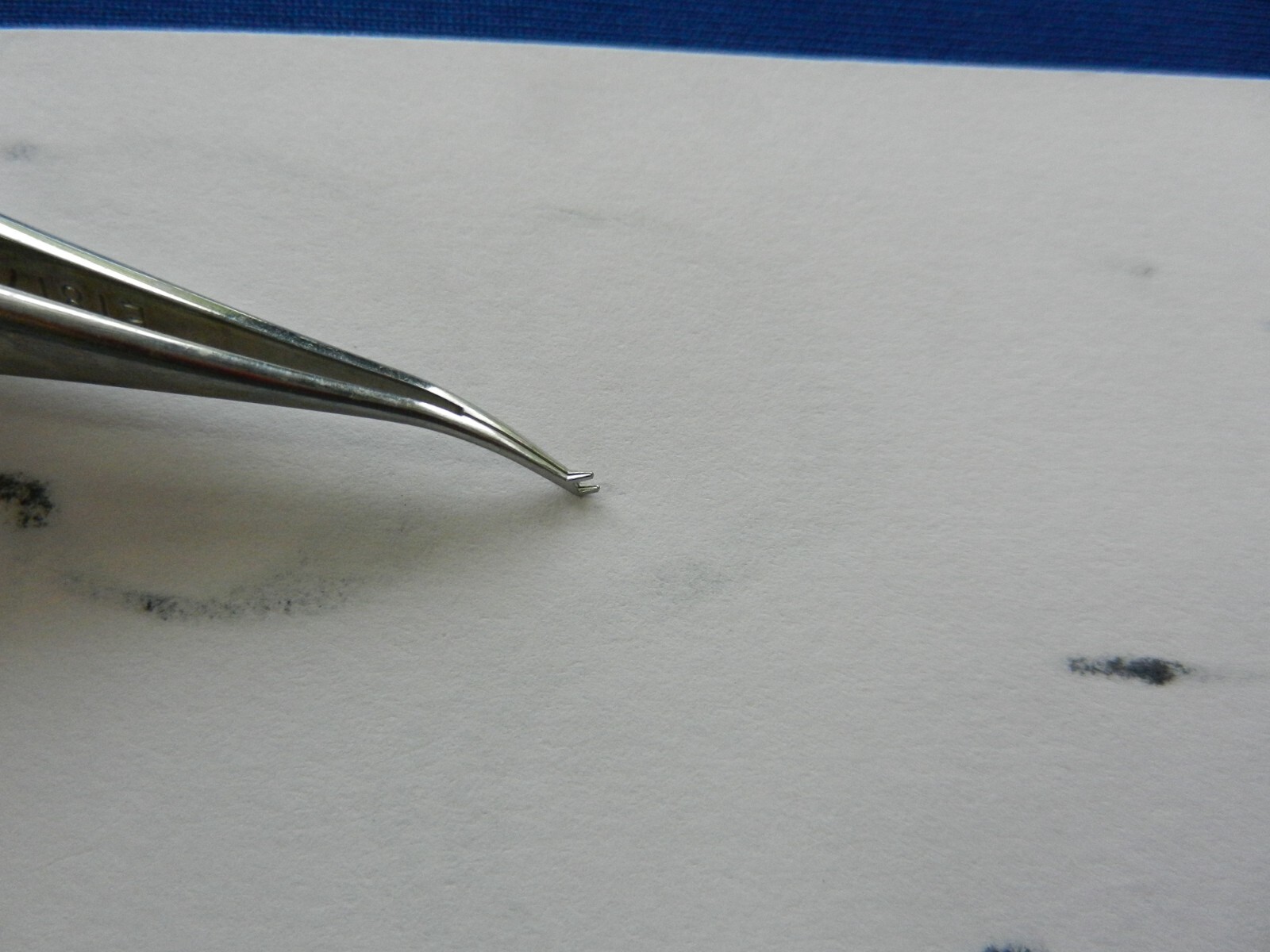 E5872 Storz E1817-S Lieberman Colibri Style Tip Forceps 10.9cm Overall Length
