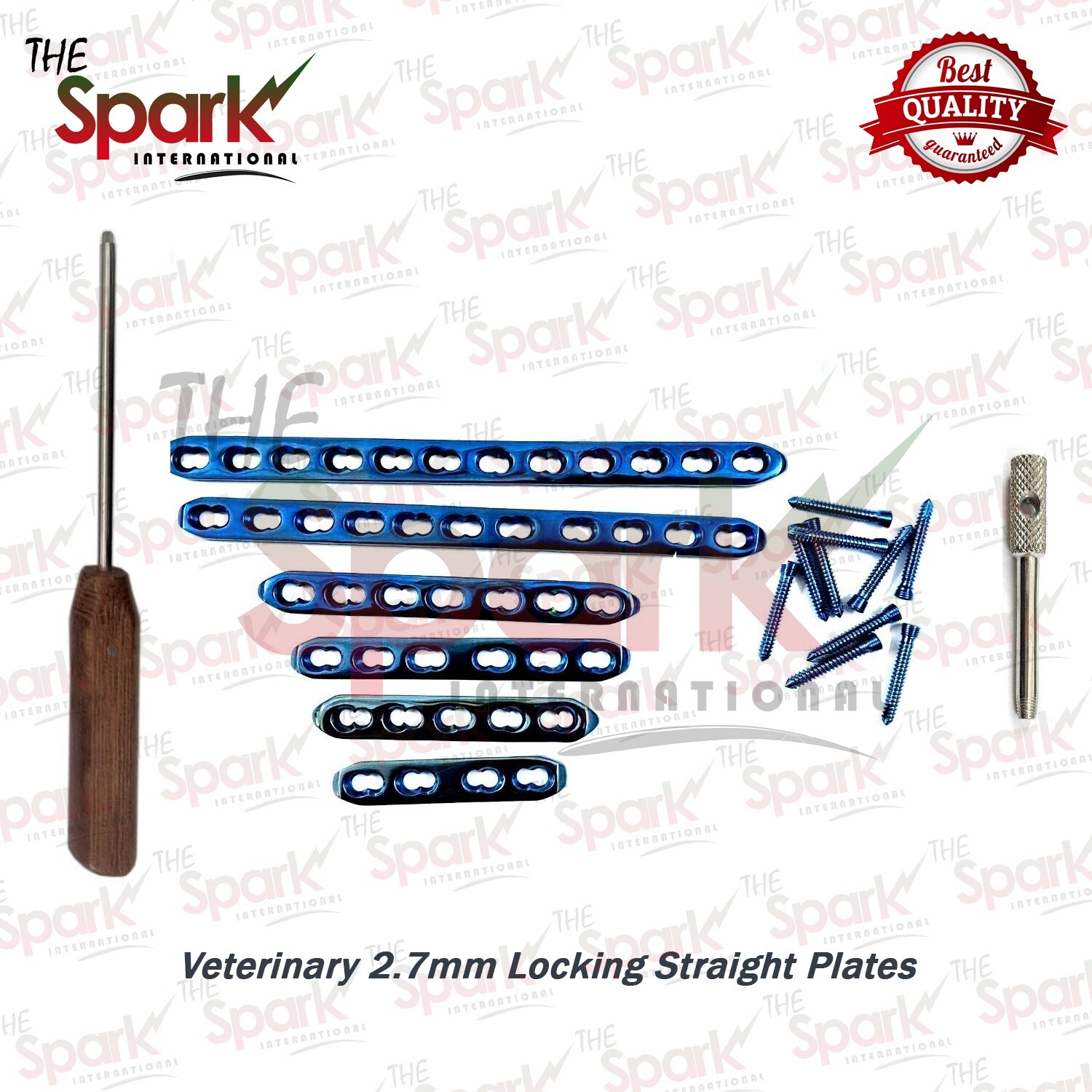Veterinary 2.7mm Locking Straight Plates and Hole & Screws Surgical Instruments