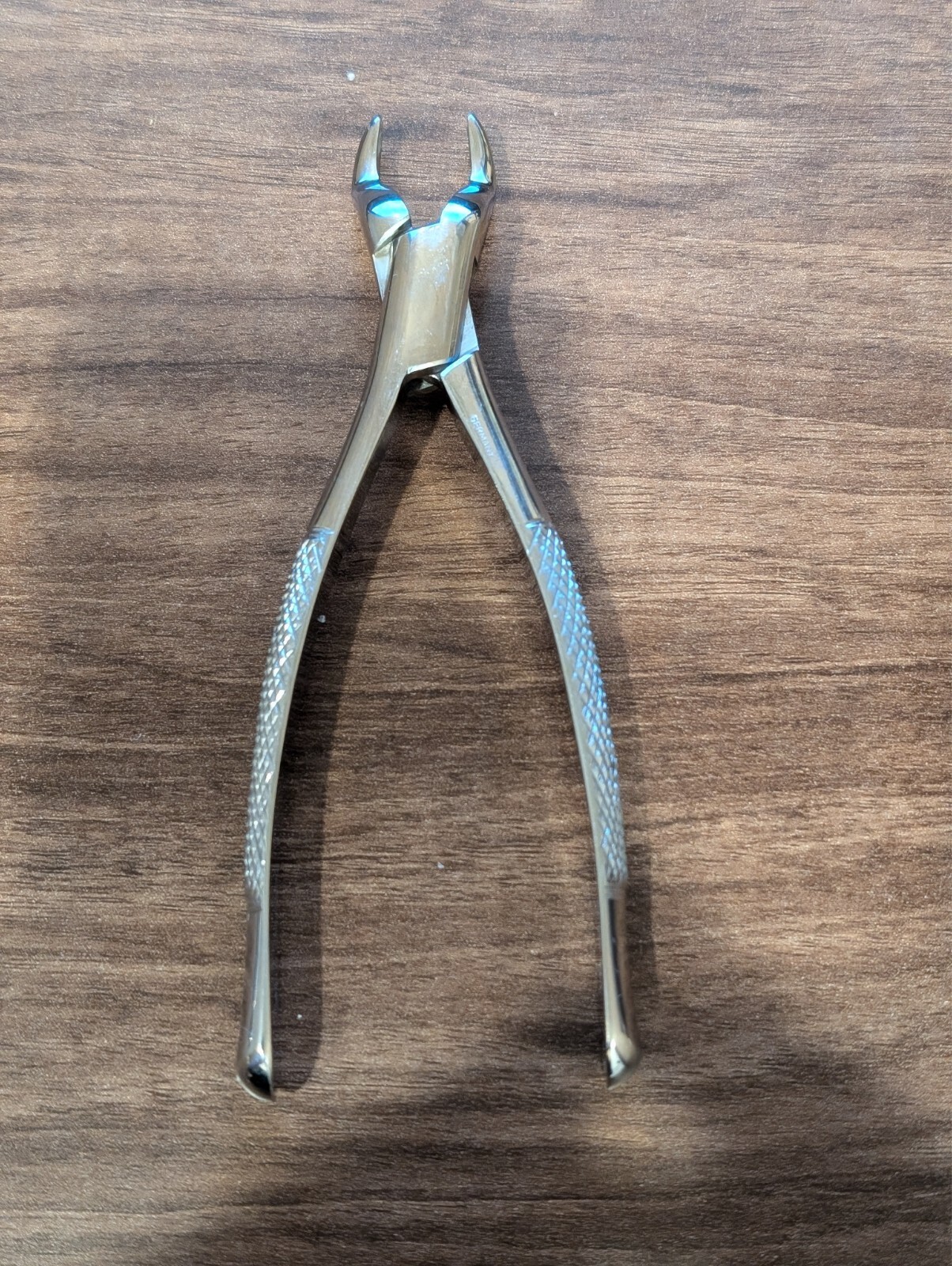 Dental Extracting Forceps Standard #53R Germany Stainless Steel
