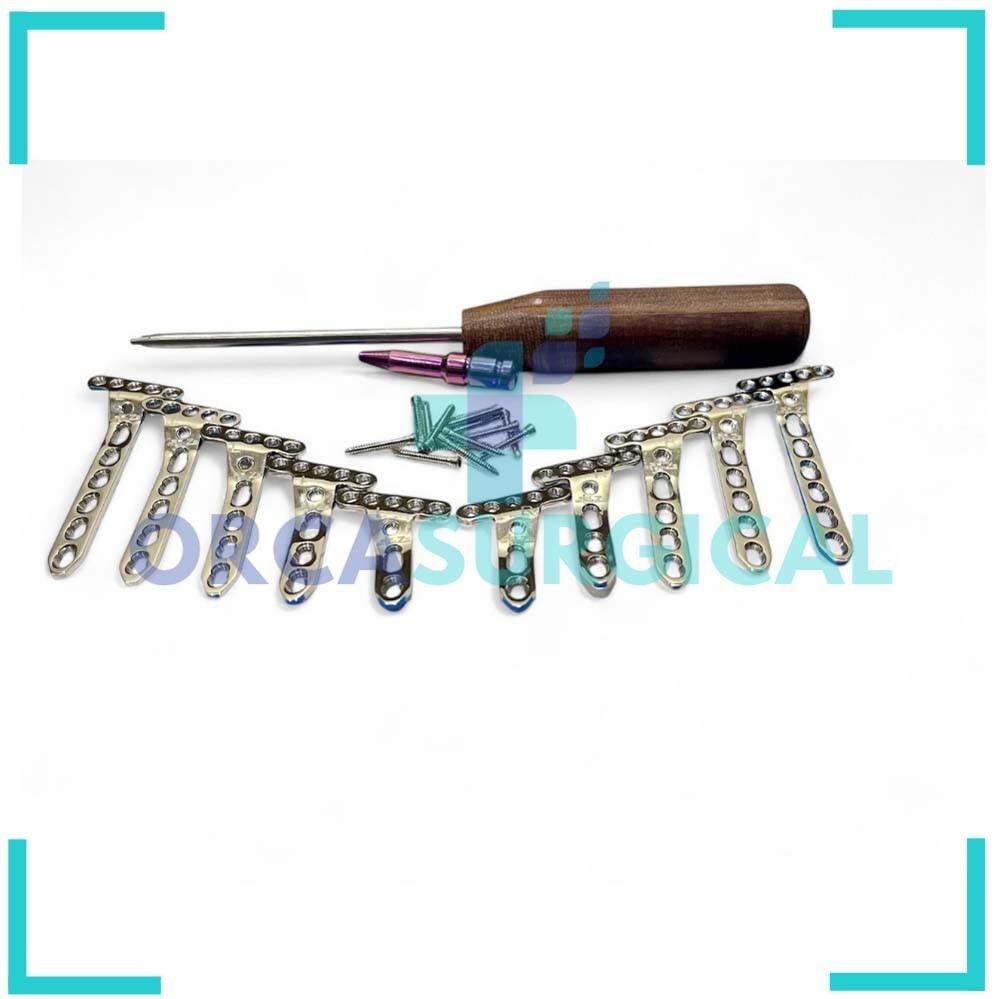 Variable Angled Locking Extra-Articular Oblique Angled with screw (88 Pc) SS 316