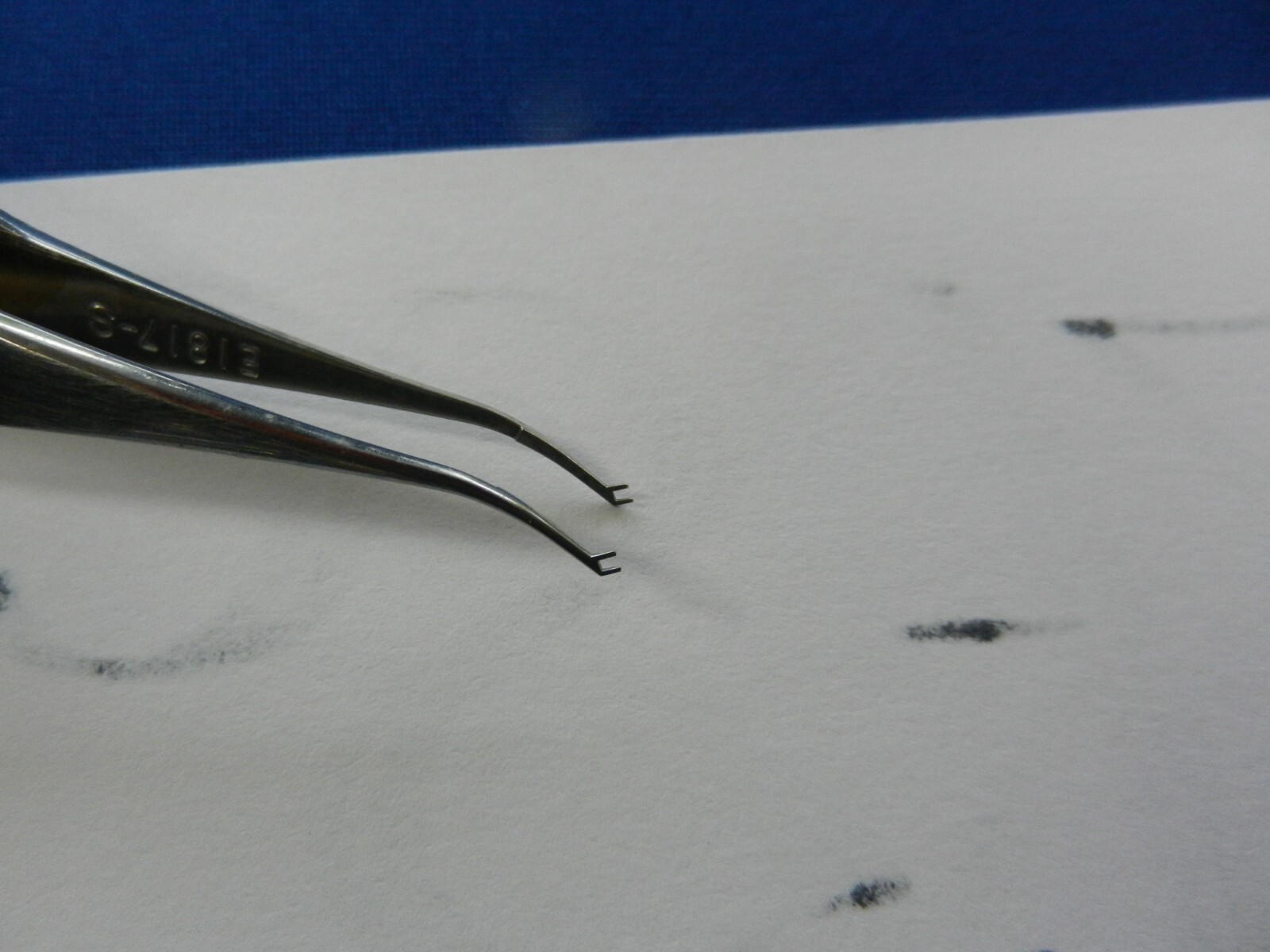 E5872 Storz E1817-S Lieberman Colibri Style Tip Forceps 10.9cm Overall Length