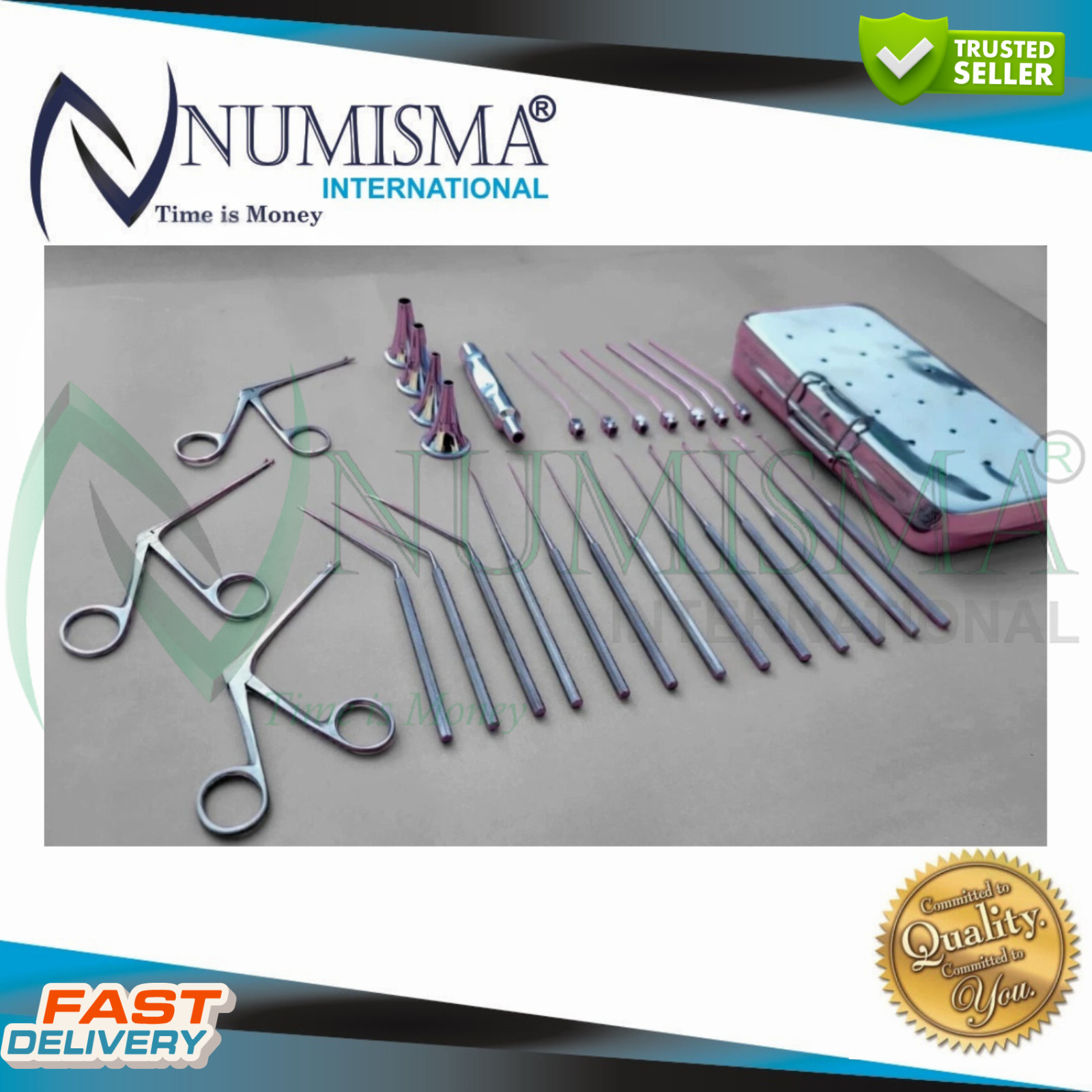 Shea Ear Operation Myringotomy Instruments Set 29 Myringoplasty Surgical ENT
