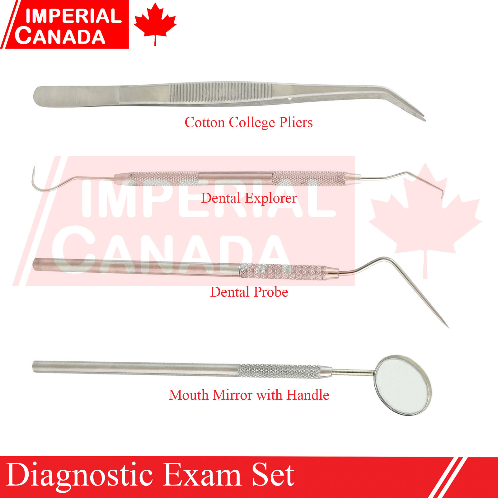 Set of 4 Pcs Diagnostic Exam Probe Explorer Mirror Pliers Dental Instrum DS-1967
