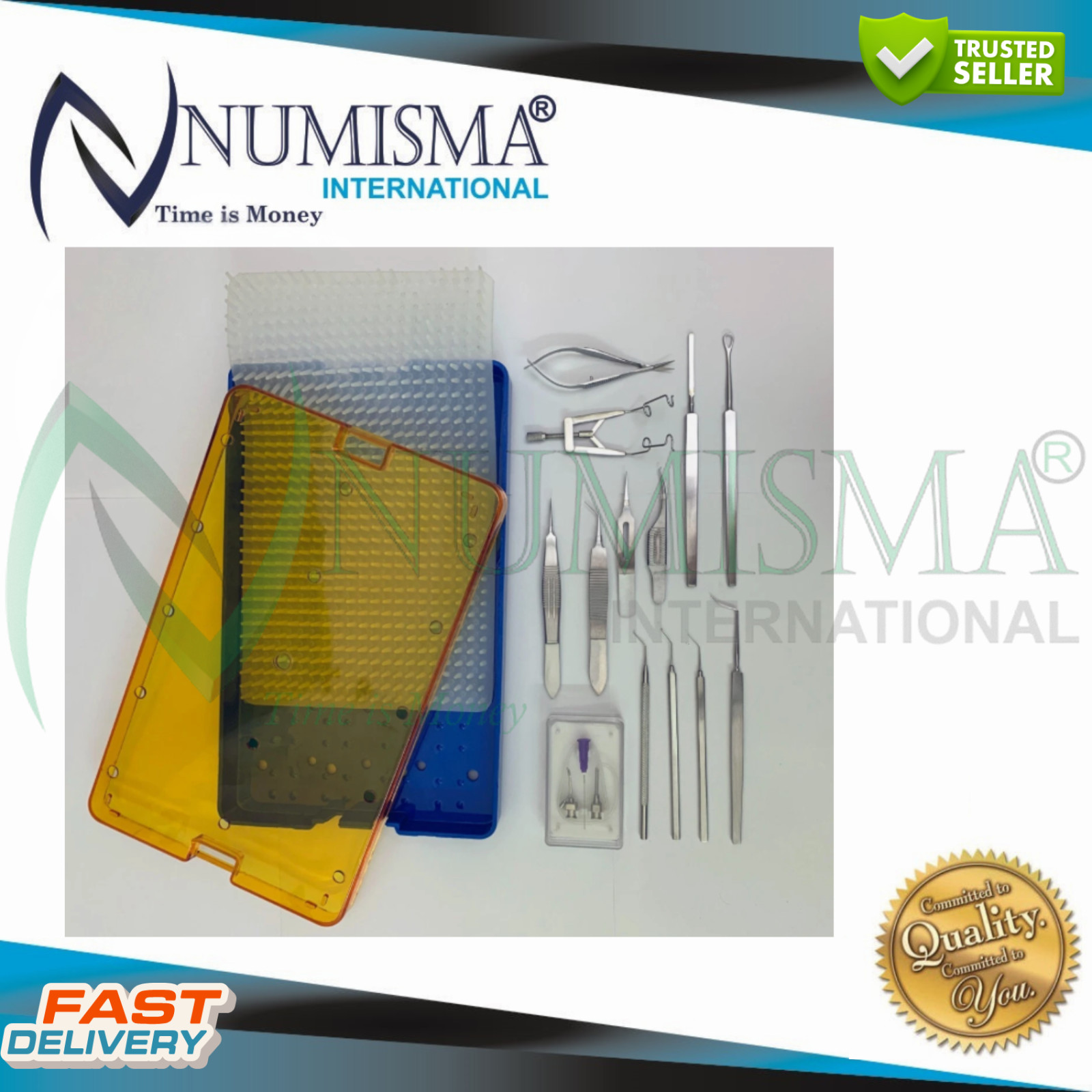 Ophthalmic Cataract Eye Micro Surgery Kit 12 Pcs Surgical Instruments Set