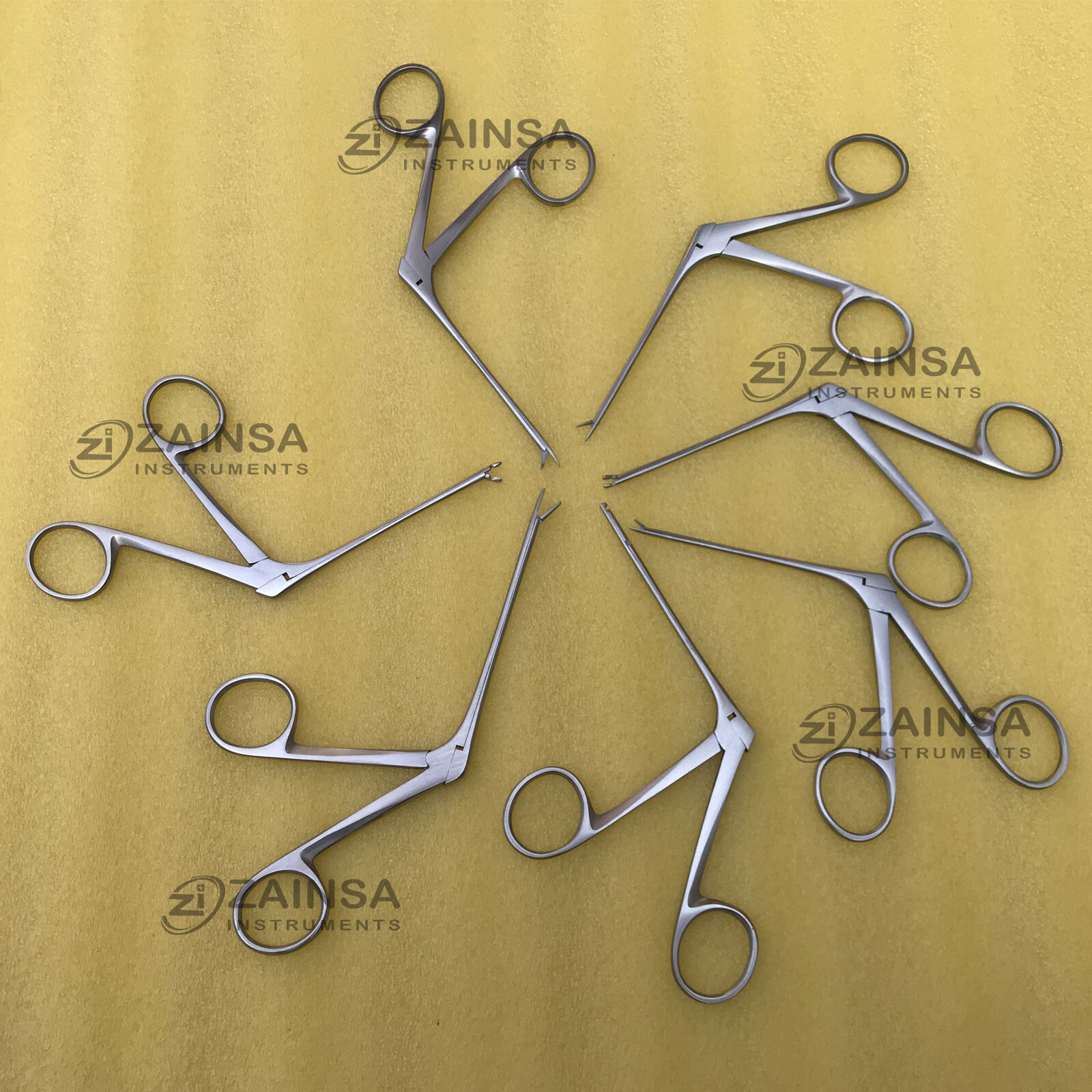 Tympanoplasty Instrument Set, Surgical Instruments Micro Ear Forceps Surgery Set