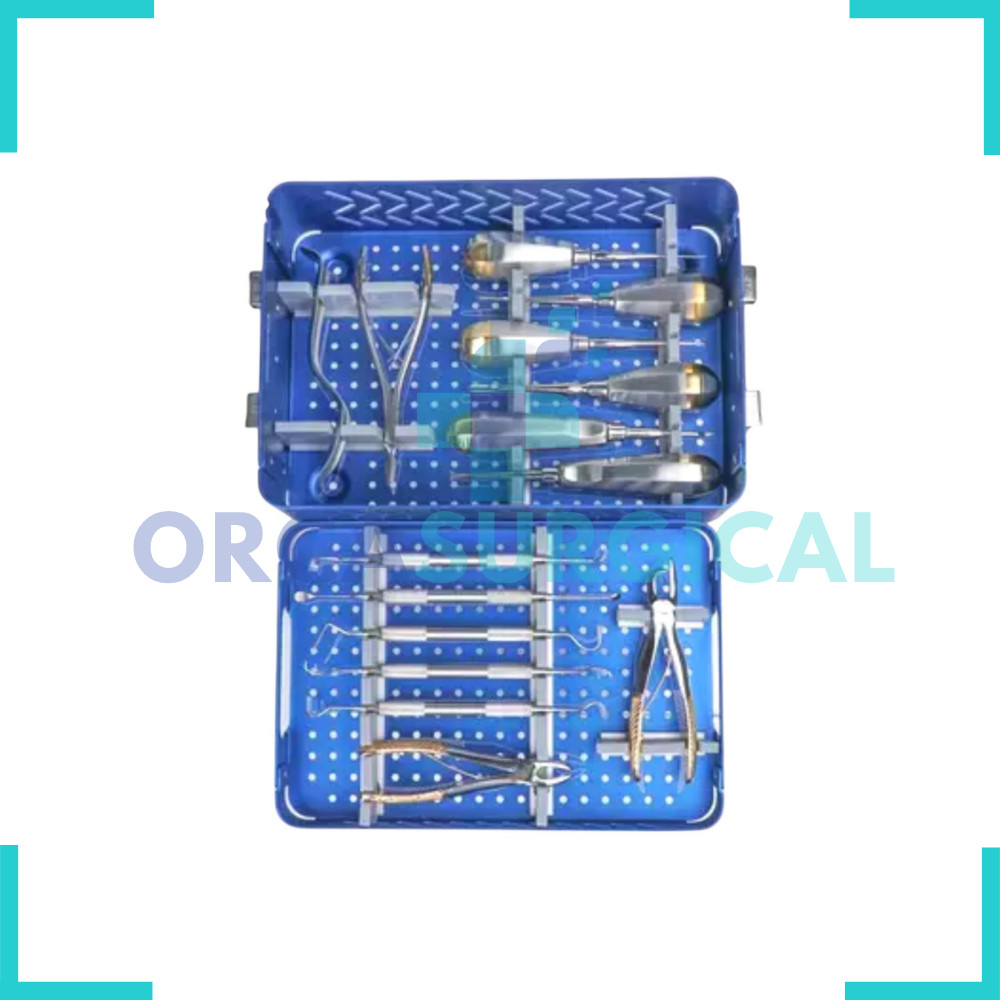 Veterinary Small Animal Dental Surgery Surgical Instruments With Box 15 Pcs Set