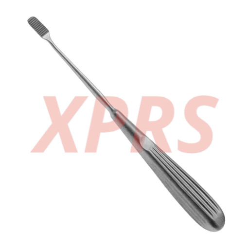 Lewis Raspatory, 7.5″, Fine Teeth, Backward Cutting, Premium German Stainless