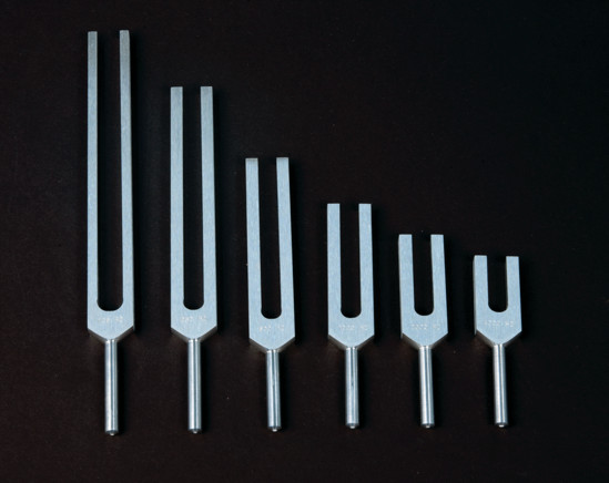 Phi Ratio Tuning Fork Set D 288 And 468 Hz with Mallet & Pouch for Sound Healing