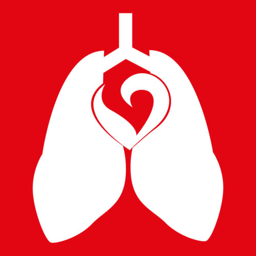 CARDIOPULMONAR